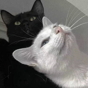 美女黑洞洞被人操
