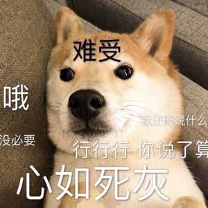 美女黑洞洞被人操
