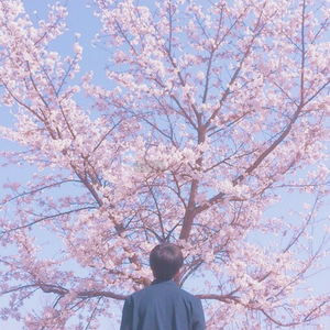 美女黑洞洞被人操
